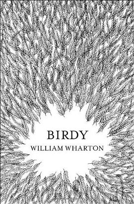 Birdy