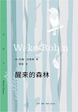 醒来的森林