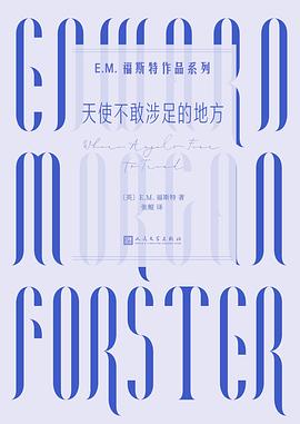 天使不敢涉足的地方