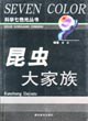 昆虫大家族