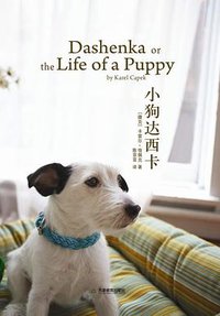 小狗达西卡 (2008)