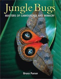 Jungle Bugs