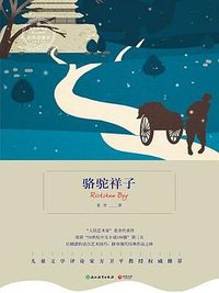 骆驼祥子 (2017)