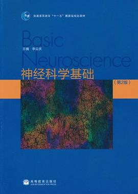 神经科学基础