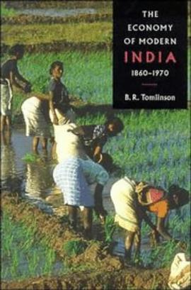 The Economy of Modern India, 1860-1970
