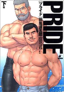 PRIDE 下
