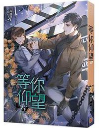 等你仰望（下）