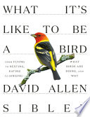 What It's Like to Be a Bird