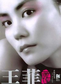 王菲画传 (2005)