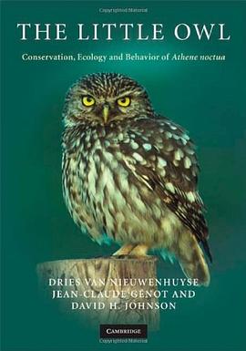 The Little Owl