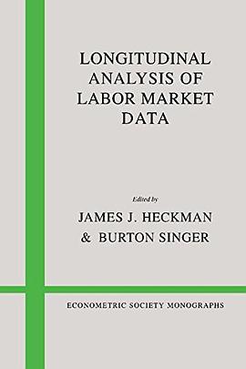Longitudinal Analysis of Labor Market Data