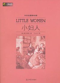 小妇人 (2010)