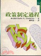 政策制定過程