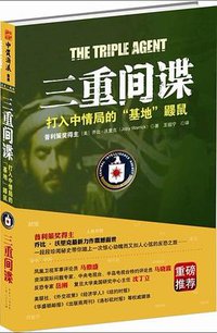 三重间谍 (2013)