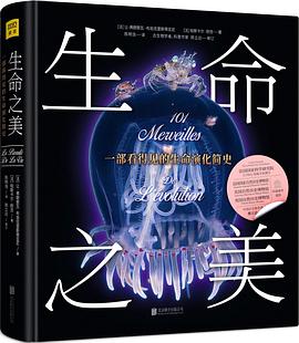 生命之美