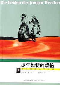 少年维特的烦恼 (2007)