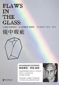 镜中瑕疵 (2022)