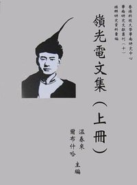 岭光电文集(上中下)