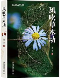 风吹草木动