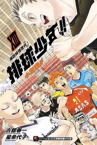 排球少年!!小說版!! 13