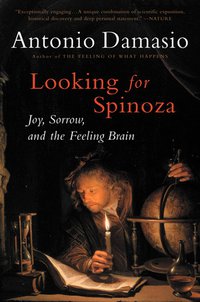 Looking for Spinoza: Joy, Sorrow, and the Feeling Brain (Harvest 2003)