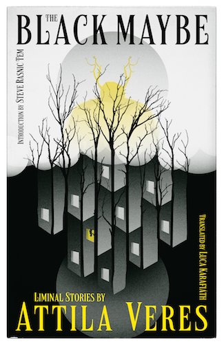 The Black Maybe: Liminal Tales