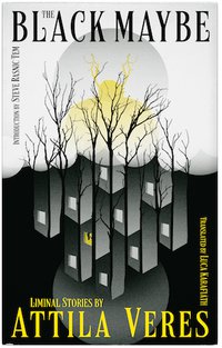 The Black Maybe: Liminal Tales