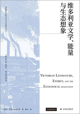 维多利亚文学、能量与生态想象