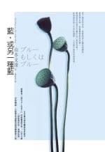 藍,或另一種藍(改版)