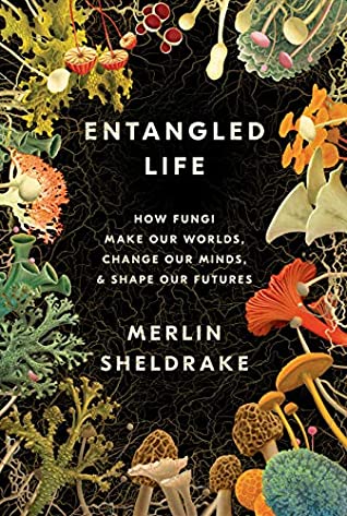 Entangled Life: How Fungi Make Our Worlds, Change Our Minds & Shape Our Futures