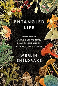 Entangled Life: How Fungi Make Our Worlds, Change Our Minds & Shape Our Futures (Random House 2020)