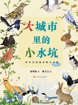 大城市里的小水坑
