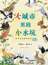 大城市里的小水坑