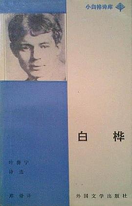 白桦