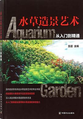 水草造景艺术
