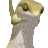 :dancing_lizard: :dancing_lizard: