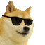 :dance_cool_doge: :dance_cool_doge: