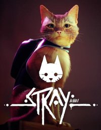 迷失 Stray