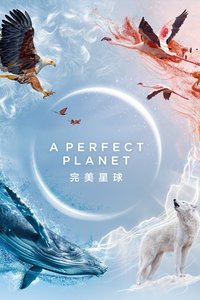 A Perfect Planet