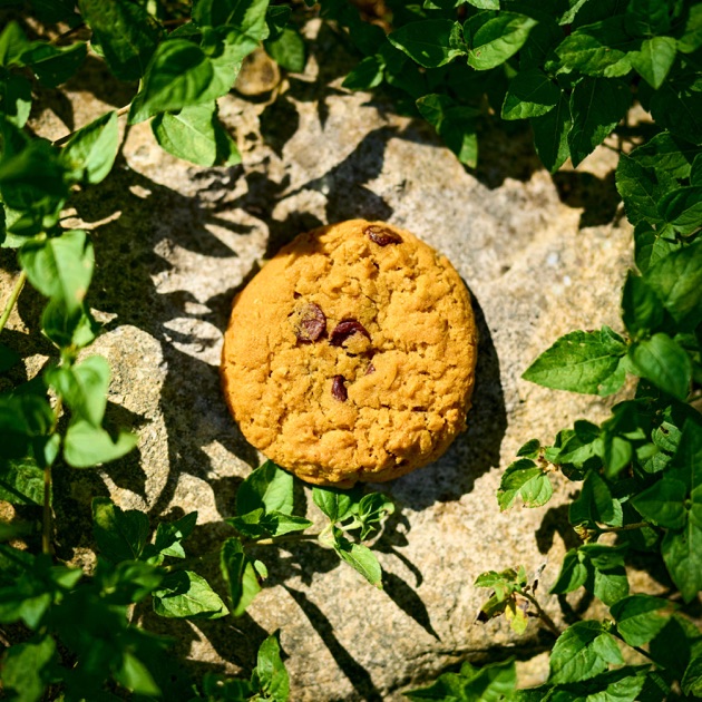 Cookie Clicker - EP