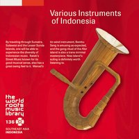 THE WORLD ROOTS MUSIC LIBRARY: VARIOUS INSTRUMENTS OF INDONESIA