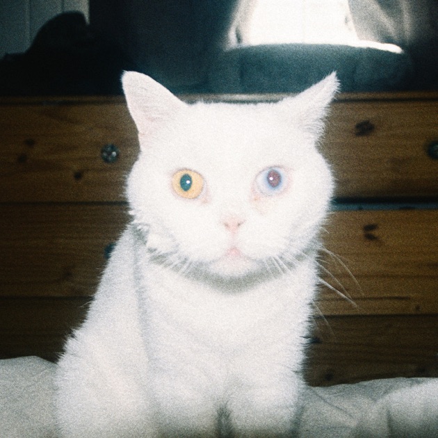 Can You See It? - Single