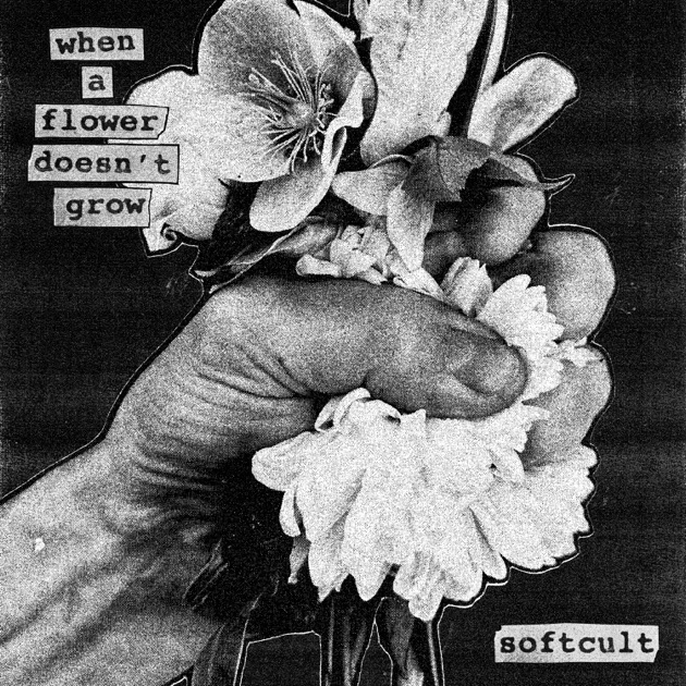When A Flower Doesn't Grow