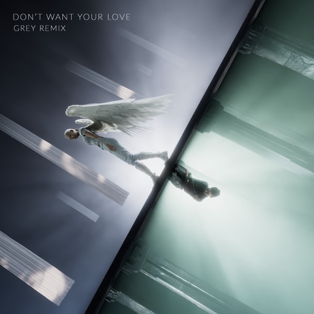 Don't Want Your Love (Grey Remix) [feat. Ellie Goulding] - Single
