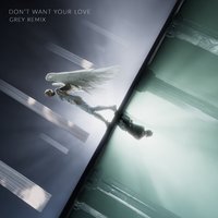 Don't Want Your Love (Grey Remix) [feat. Ellie Goulding] - Single