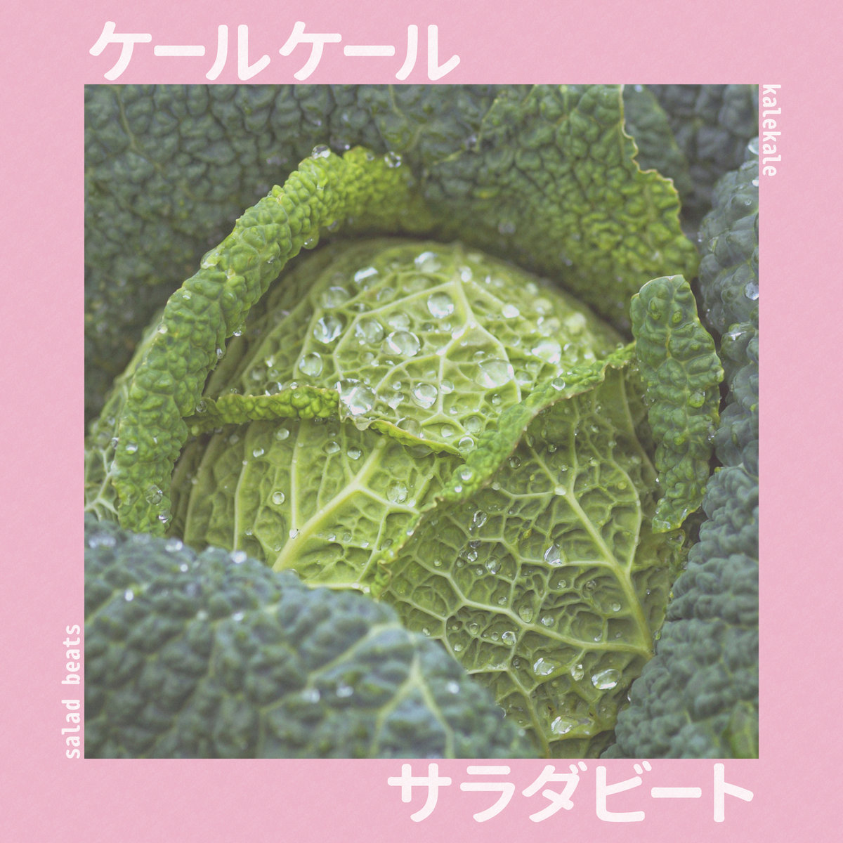 salad beats