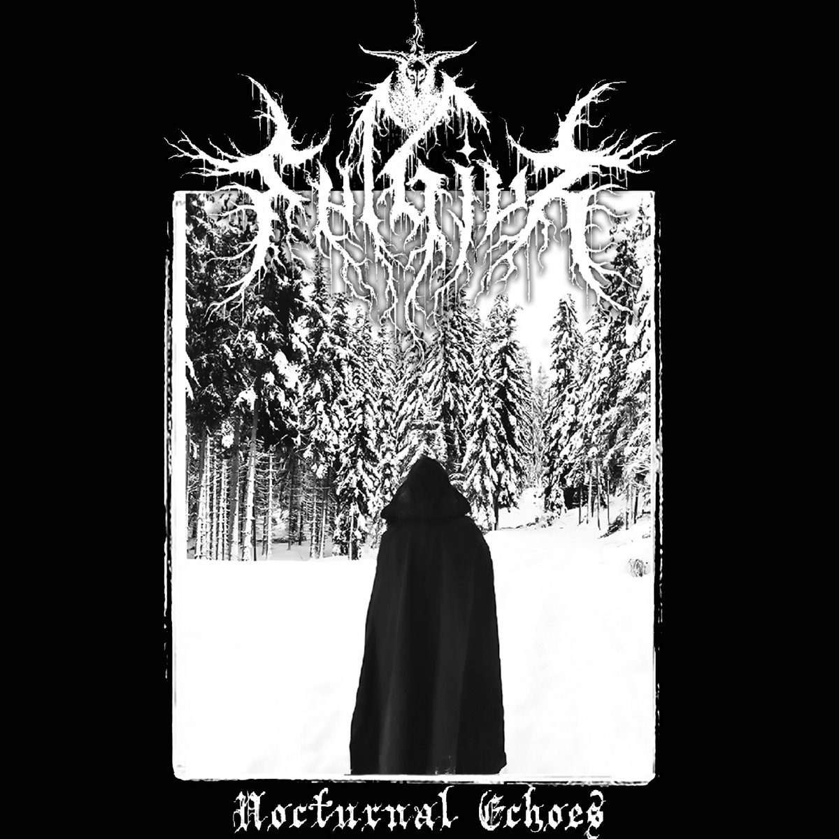 Nocturnal Echoes