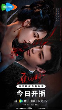 贵女 (雁回时)