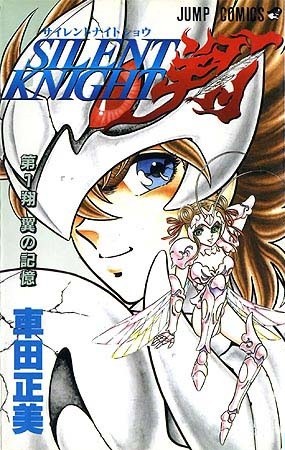 静斗士翔