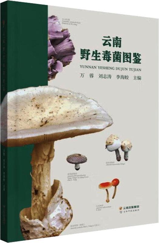 云南野生毒菌图鉴